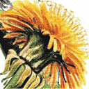 zdrowazywnosc.biz.pl