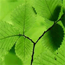 greenhouseportable.com