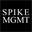 spike-management.de