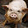 lancastercountykunekune.com