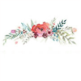 gracelynphotography.com