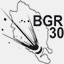 bgr30.com