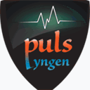 budgetautoglassinctacoma.com