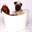 headtotail.info