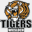 tigers-wiesloch.de