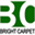 bright-carpet.com