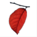 maroonleaf.com