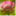 yogawithmelcampbell.wordpress.com