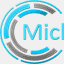 michiganwebsolution.com