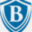 branchenvironmental.com