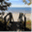 swiftcottages.com