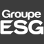 groupeesg.fr