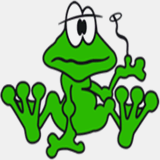 bullfrogembroidery.com