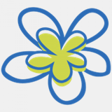 bluelinedesignco.com