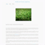 artificialgrassoptions.sitew.org