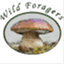 wildfungi.wordpress.com