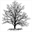 ianelwood.com