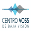 vossbajavision.com.ar