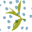camelliate.it
