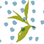 camelliate.it