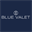 bluevalet.fr