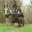 fermegirondane.over-blog.com