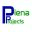 pienaprojects.com