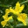 milesmack.wordpress.com