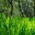 barbaraferreros.wordpress.com