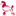 coaforcanin.ro