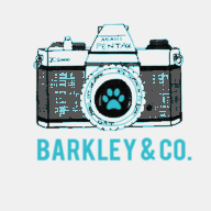 basilestudio.com