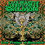 mammothsalmon.bandcamp.com