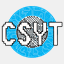 csyt.org