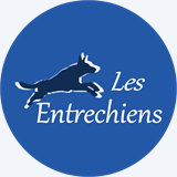 lesentrechiens.fr