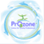 prozoneprofessionals.wordpress.com