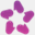 start.asknice.ly