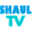 shaultv.com