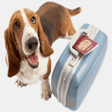 ohiocollegeclowningarts.com