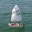 durbansailing.wordpress.com