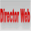 director-web.ro