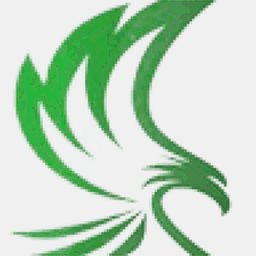 solutionsaircraft.com