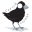 corvidcorner.com