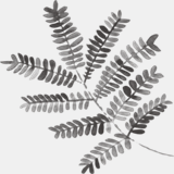 jenniferstuartphotography.com