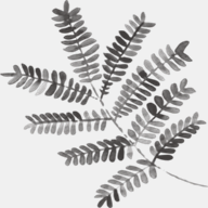 jenniferstuartphotography.com