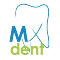 busrentalsdetroit.com