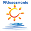 pitiusasmaniatravel.com