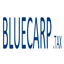 bluecarp.mozello.com