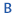 brillinfotech.com