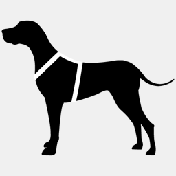 smartdog.it