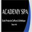 academy-spa.com
